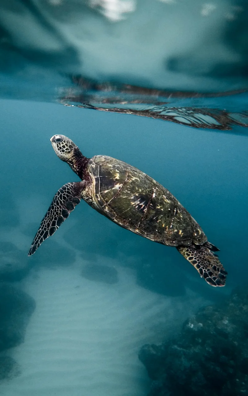 Le marketing B2B en 2026 : ce qui change vraiment et ce qui ne change pas